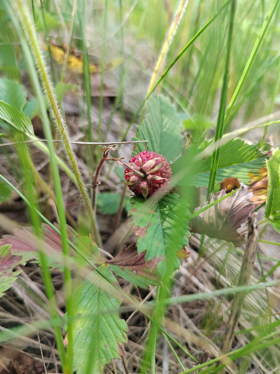 Фото автора канала. 