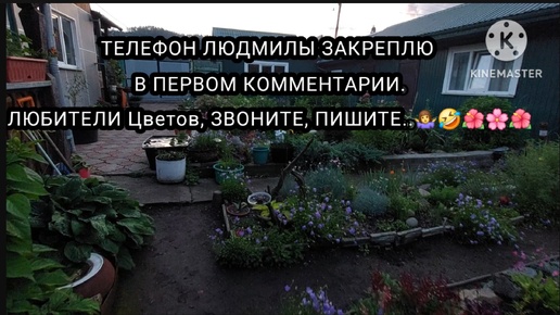 Наша поездка в БЕЮ. ХАКАСИЯ ЦВЕТОЧНЫЙ РАЙ СИЗАЯ! 🌺🌸🌺