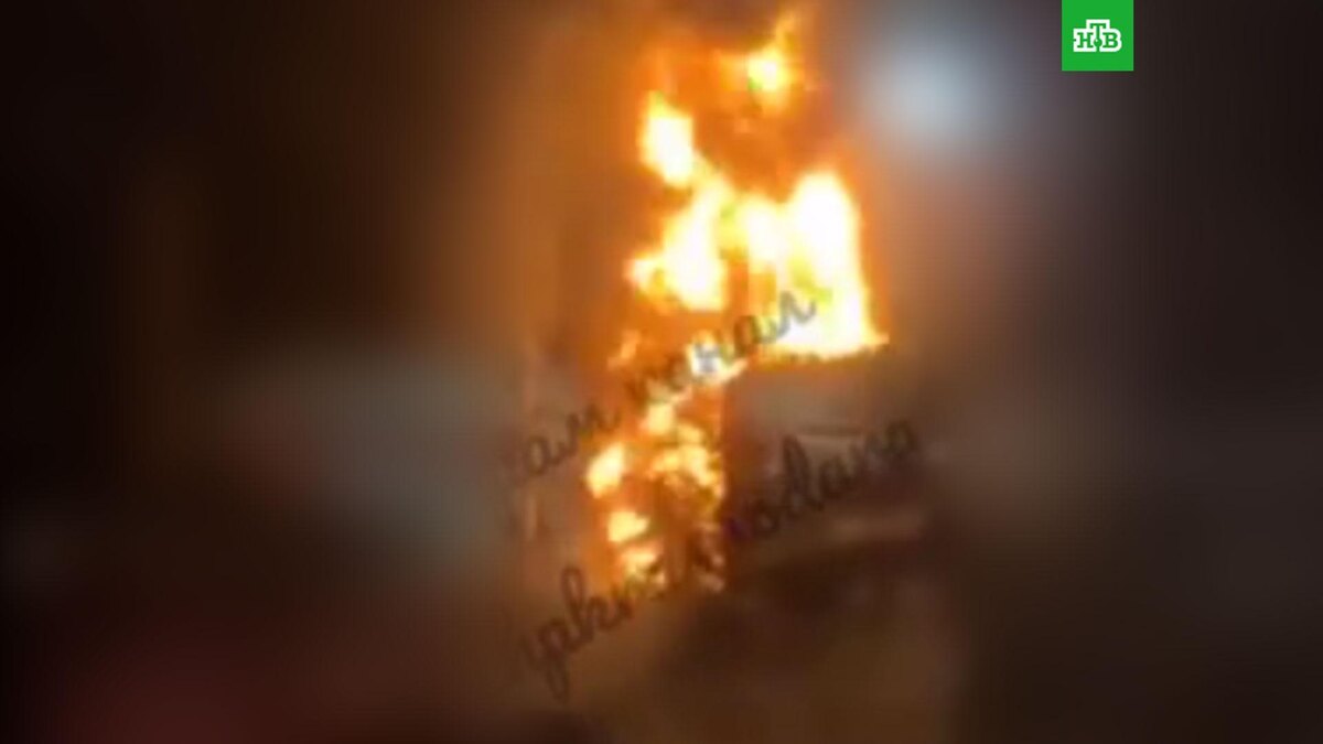    Фото: chpkrasnodara / t.me