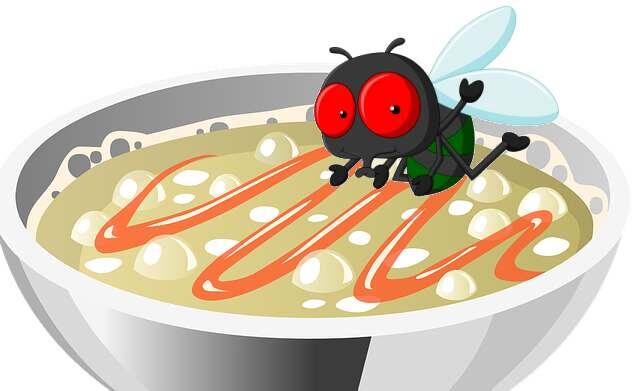 Картинка из открытых источником интернета