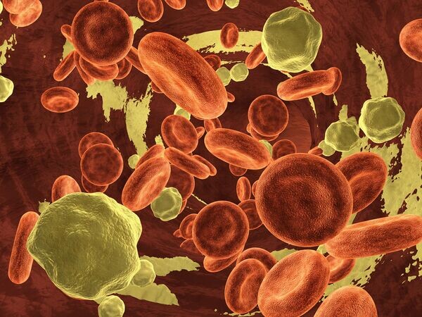    © Depositphotos.com / beawolf