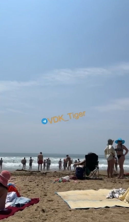     Источник: vdk_tiger