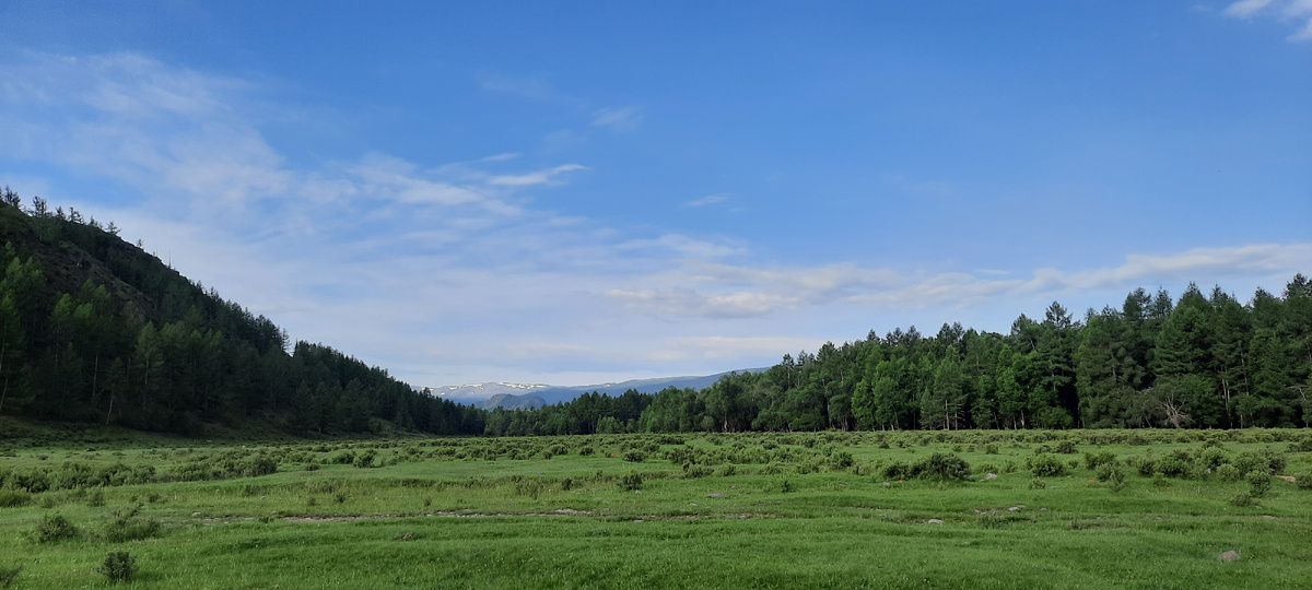 Вот здесь суслики и шныряют, только поймать в кадр мне не удалось ни одного:)