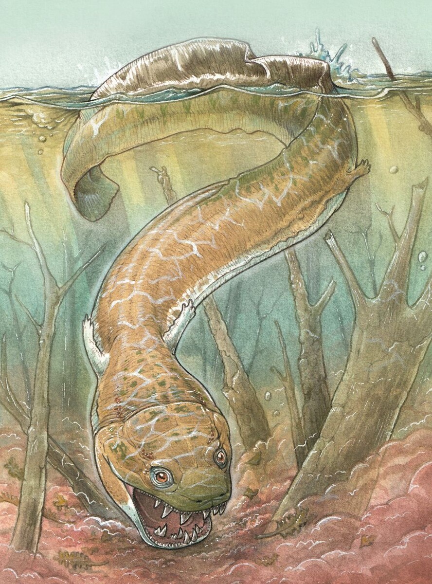   Gabriel Lio / Field Museum