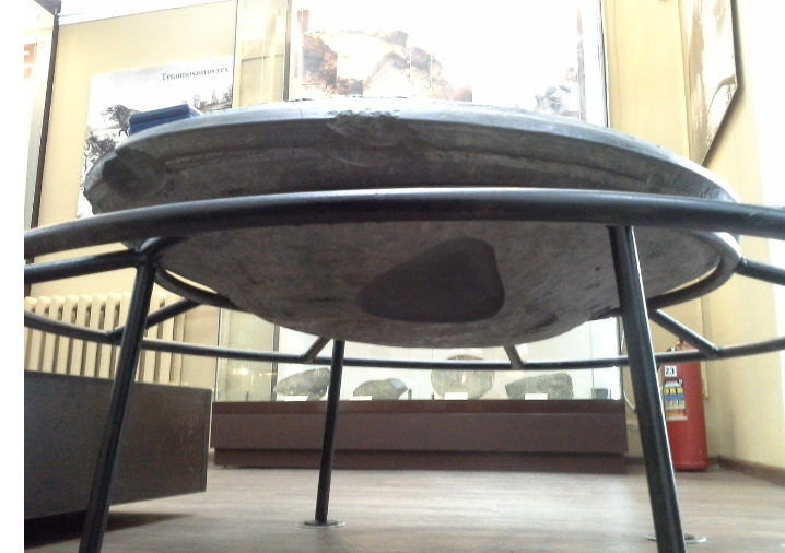 Специалисты разного профиля признают, что исследования неоднозначной находки сегодня только начинаются. «Как любая большая загадка она требует неторопливости, спокойствия и долгого изучения. Я лично никуда не тороплюсь, для решения больших задач не жалко и многих лет. Что будет на выходе — я любой вердикт поддержу, при условии, что он будет сделан научным, доказательным способом. Этот диск спасён для истории, это великое дело, и исторический артефакт останется, независимо от того, чем он является», — говорил Вадим Чернобров.