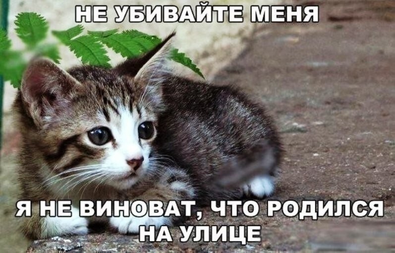 Фото из доступного источника