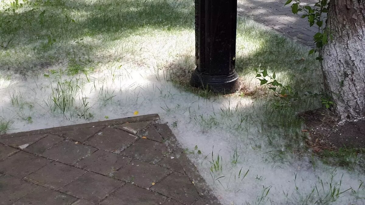     Источник: 1MI