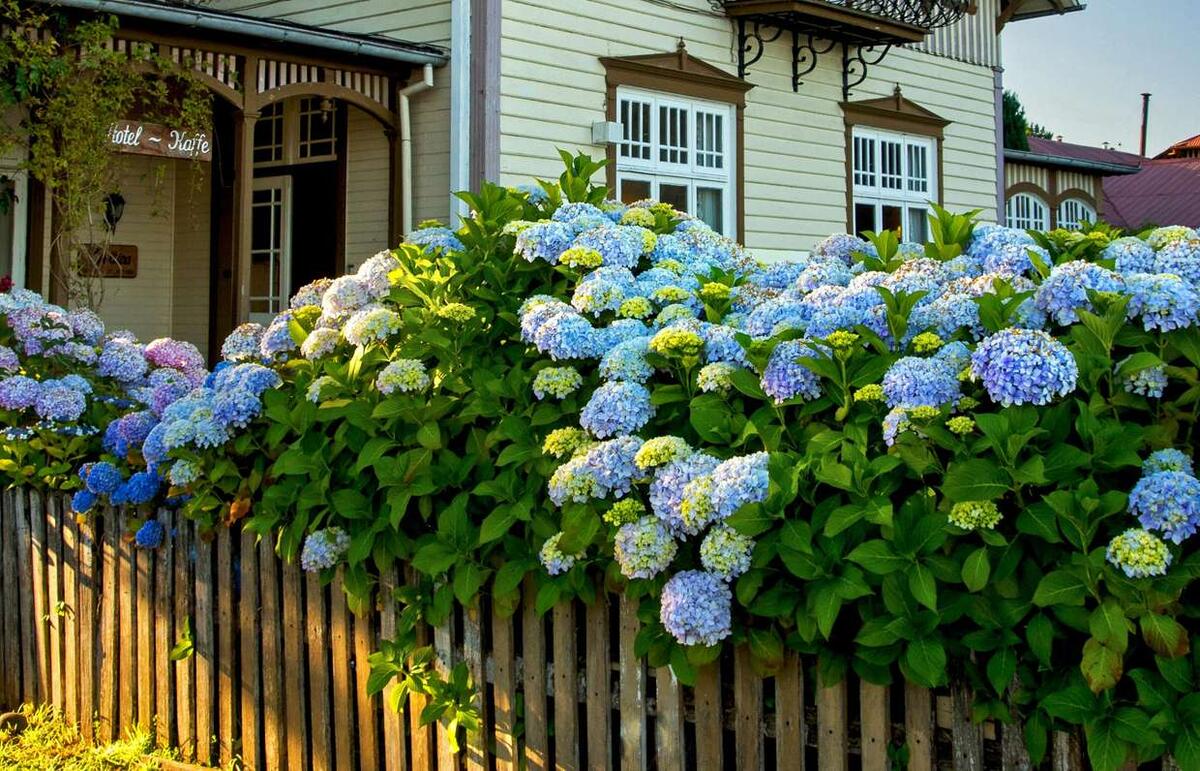 Фото: Рexels.com