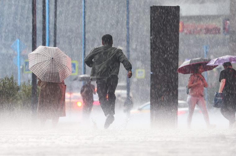 Порывы ветра местами достигали до 20 метров в секунду
Фото: Сергей Булкин/ТАСС
