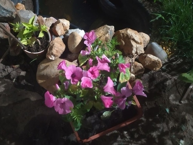     Фото: архив "МК в Калуге"