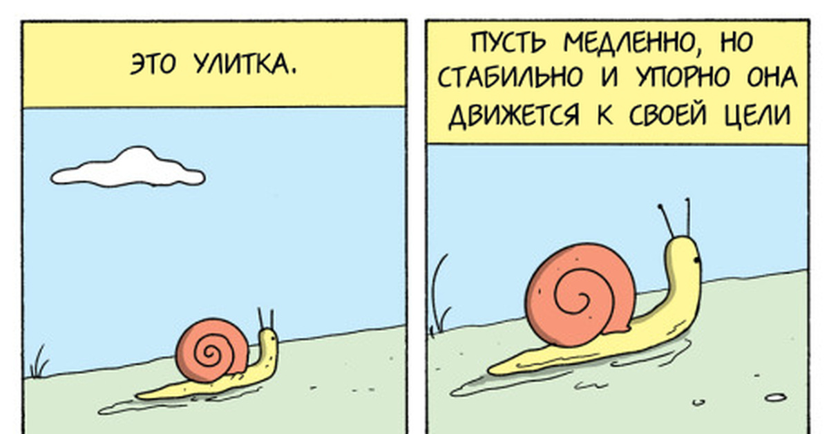 Картинка из Интернета