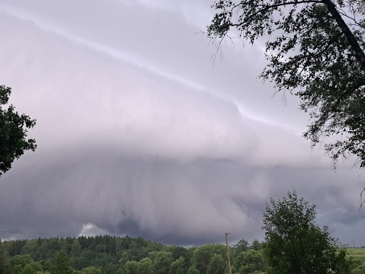     Фото: Михаила Голубева