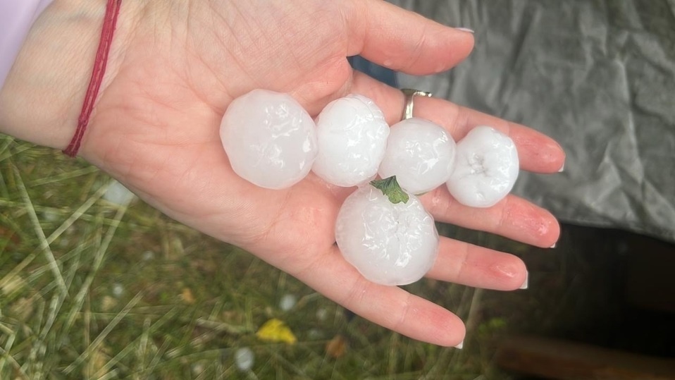     Фото: Михаила Голубева