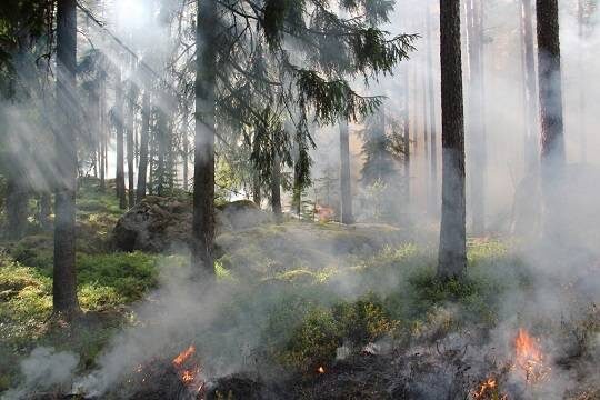    В Бурятии из-за лесных пожаров введён режим ЧС