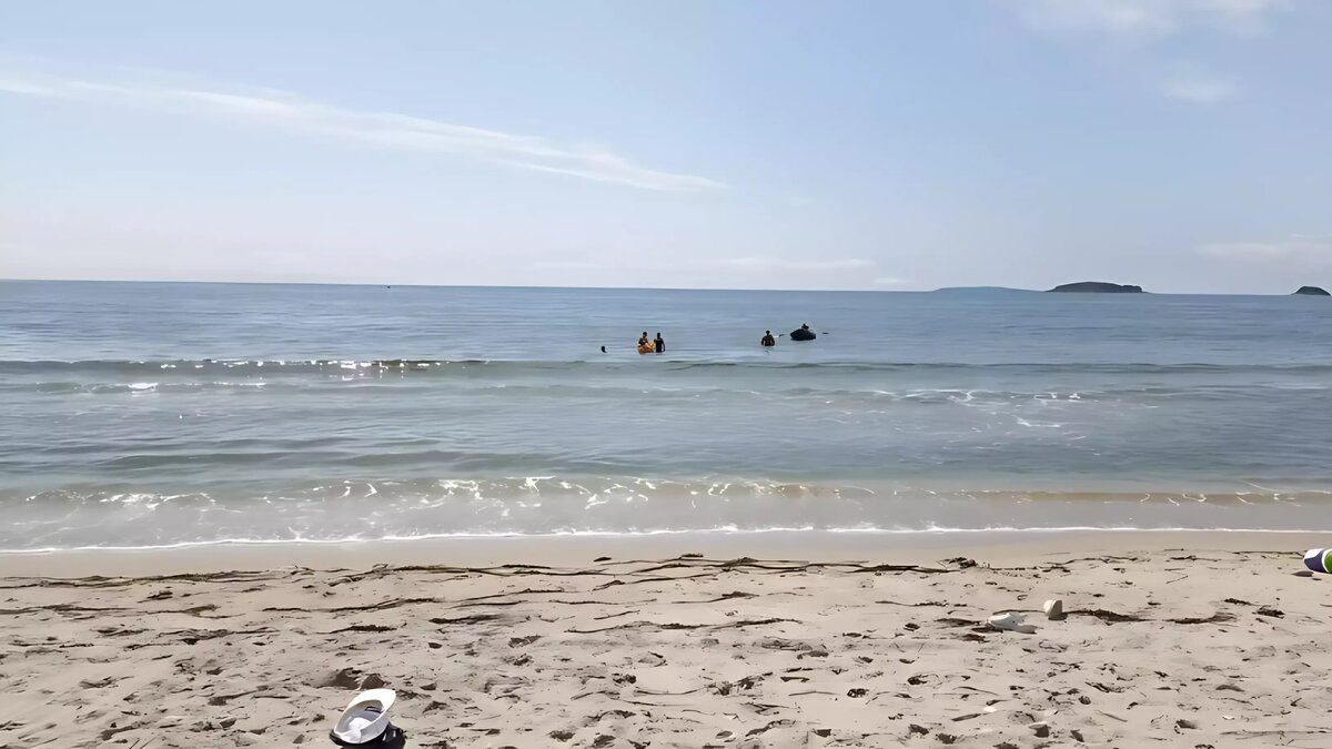     Источник: vostokmedia.com