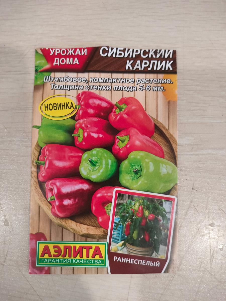 Фото автора. Аккуратный кустик весь усыпанный перчиками-это то, что привлекло моё внимание. Мне хотелось так же. 