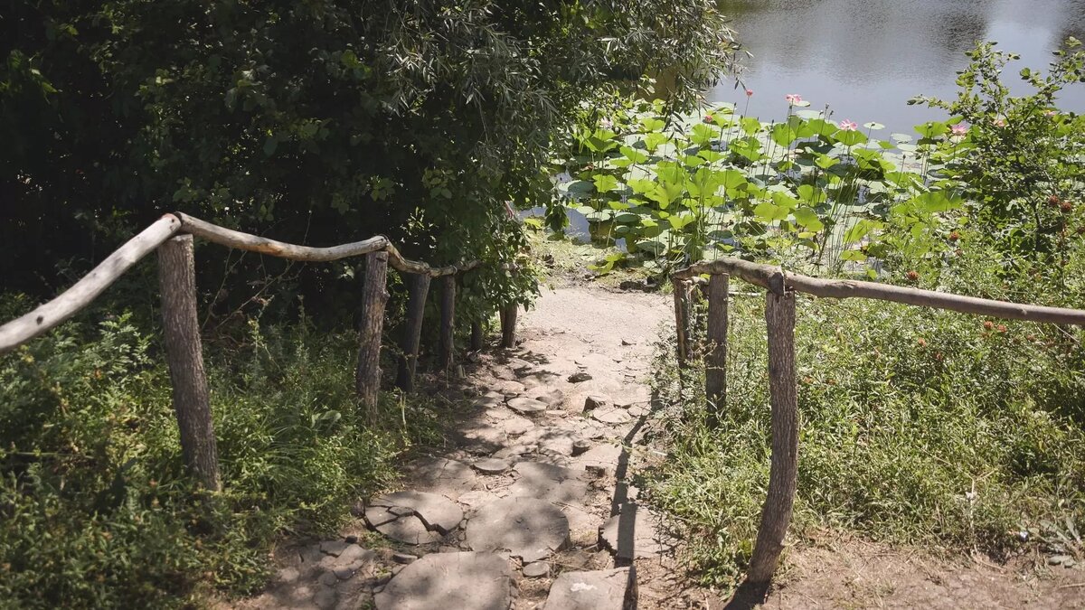     Источник: 1MI