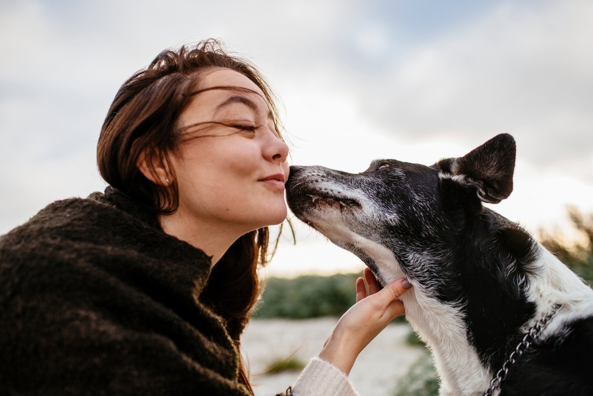    Факт №1. Собаки научились целоваться больше 10 000 лет назад. До этого времени ни они, ни их предки не одаривали друг друга такими ласками. Им это просто было не свойственно.