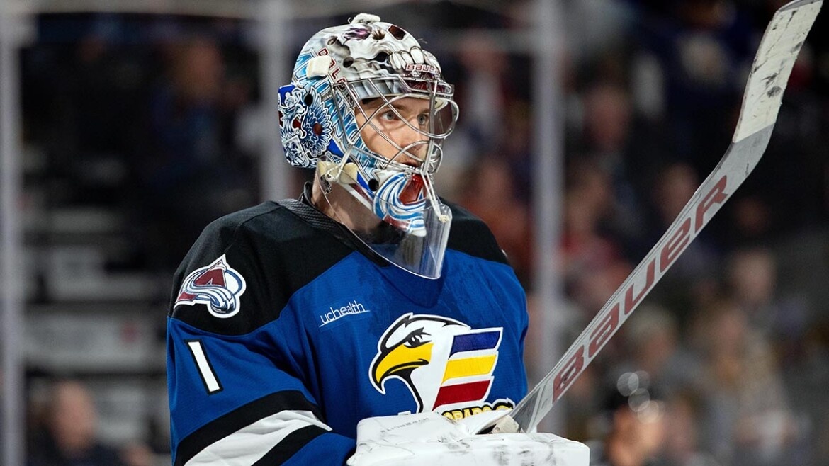 ​Фото: theahl.com