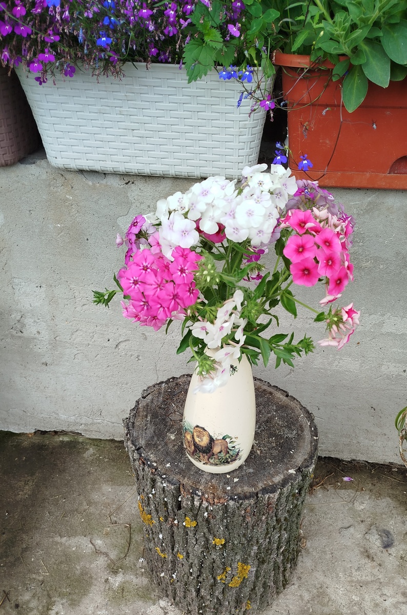 Фото на дежурном пенечке.