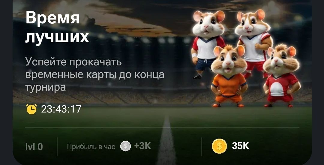 Хамстер комбат как лучше прокачивать. Хамстер комбат как лучше прокачивать. Хамстер комбат как лучше прокачивать. Хамстер комбат как лучше прокачивать. Хамстер комбат как лучше прокачивать.