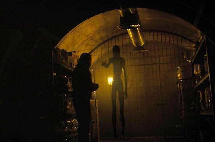 Кадр из фильма The Watchers. Режиссер: Ишана Шьямалан. Оператор: Эли Аренсон. Производство: Bórd Scannán na hÉireann, Blinding Edge Pictures, Inimitable Pictures, New Line Cinema, Warner Bros.