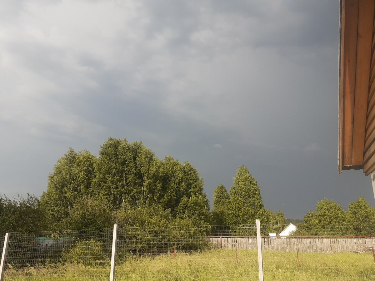 Перед грозой