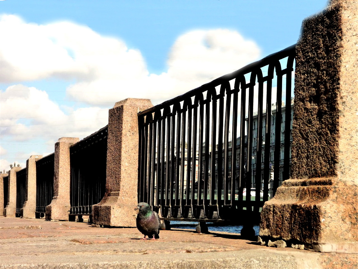 Фото автора