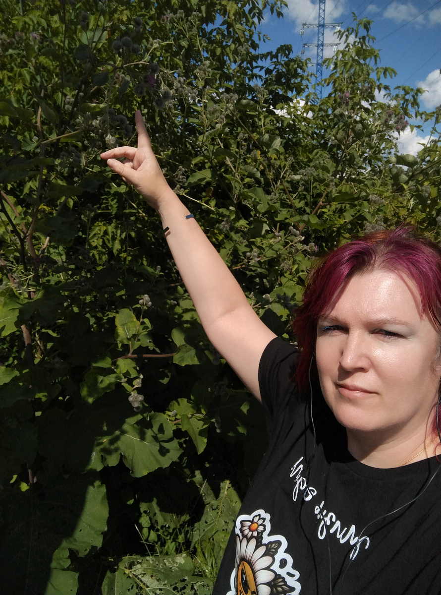 Репейник выше машины? Репейник выше меня! Сильно. Просто фото с прогулки