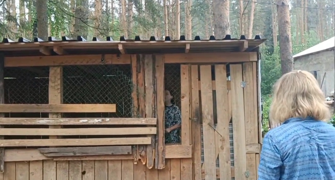 А вольер этот уже прошёл " огонь и воду". Видимо, осталось одолеть и " медные трубы"