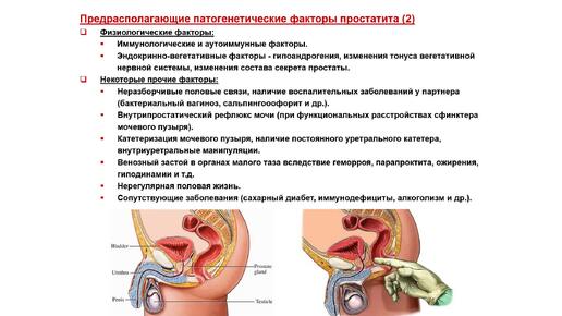 Ультразвуковая диагностика (УЗИ). Доктор Иогансен. Выпуск 110. Воспалительные заболевания предстательной железы. Часть 1.