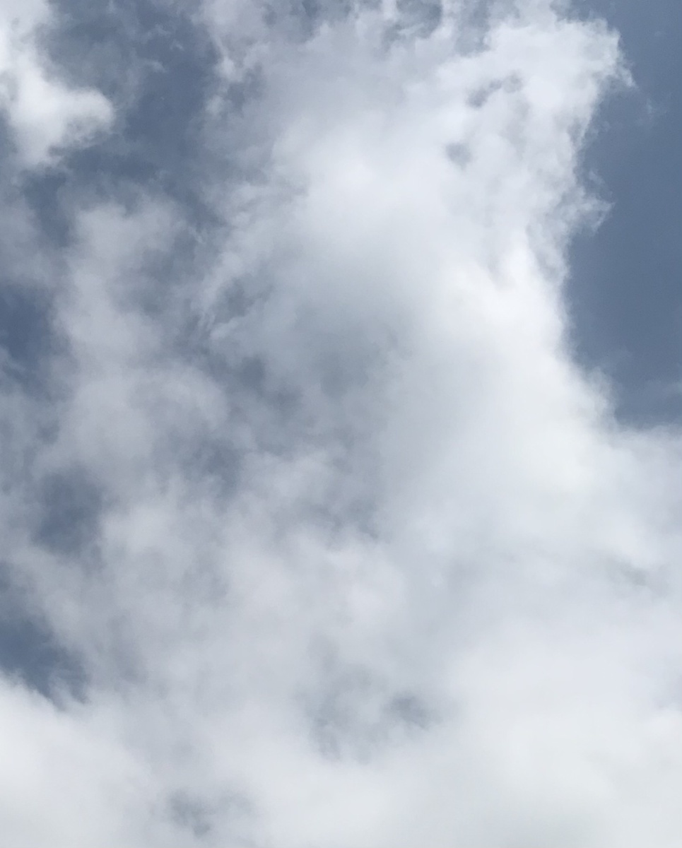 Советуйся с Богом.