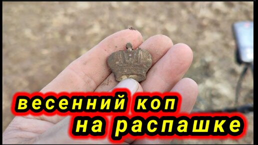 Весенний коп на распашке