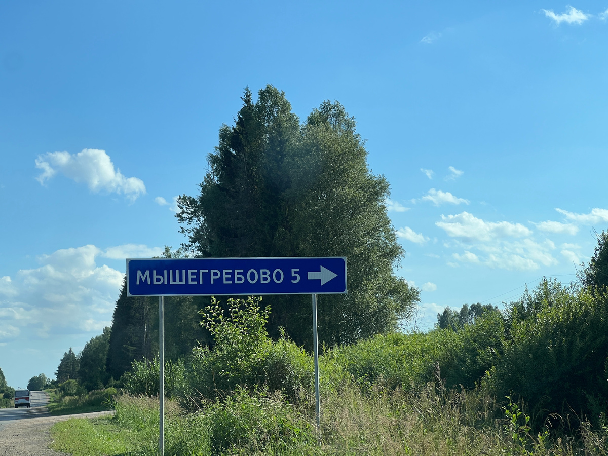 Фото автора. 06.07.2024