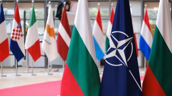    Болгария хочет стать посредником в мирных переговорах на саммите НАТО Татьяна Сидорова