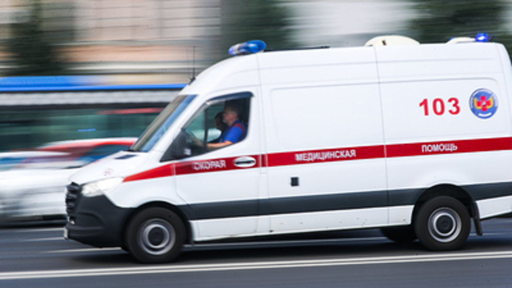    Фото: Belkin Alexey/Globallookpress