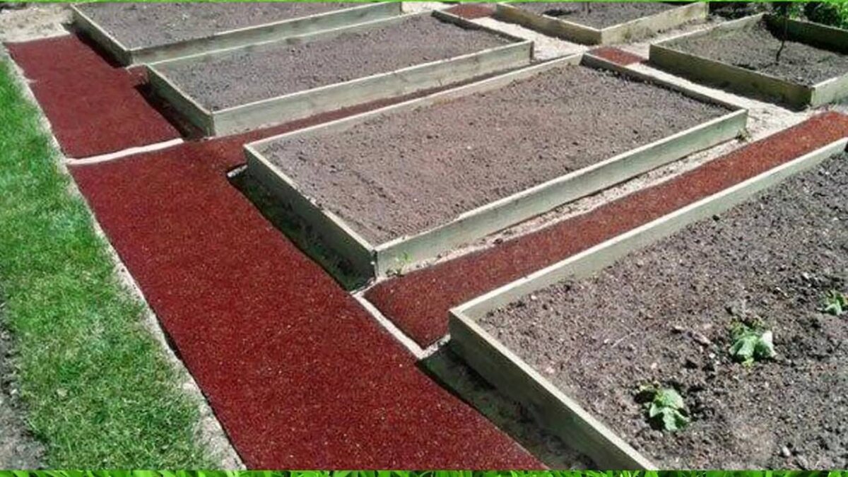 Как сделать так чтобы трава не росла. Дорожки между грядками. Грядки без сорняков. Грядки лядова клубника-. Как сделать так чтобы трава не росла.