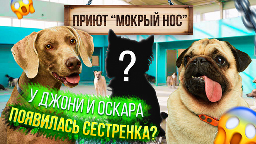 У ОСКАРА И ДЖОНИ ПОЯВИЛАСЬ СЕСТРЕНКА? 😍