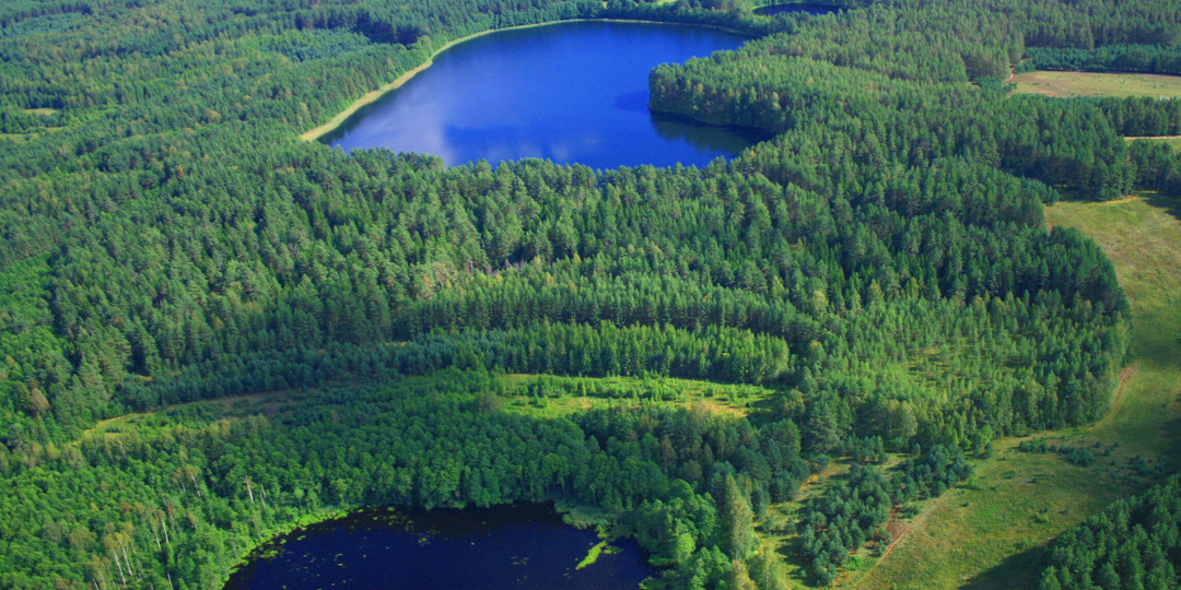 6 самых красивых озёр Тверской области: где провести отдых?