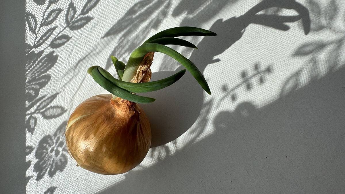    Фото: Анатолий Цымбалюк / Вечерняя Москва