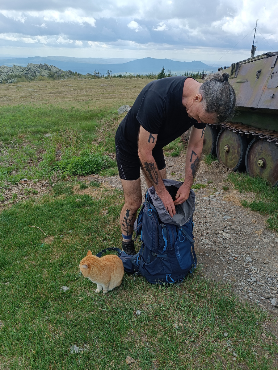 Добавьте описание