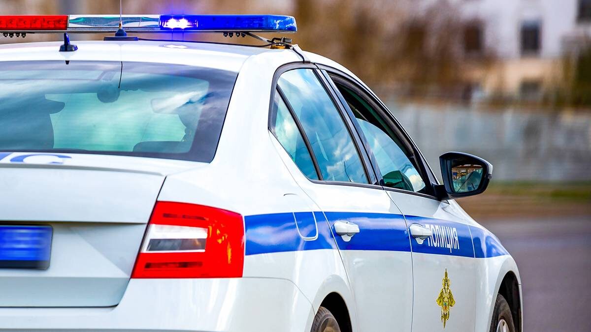    Фото: Shutterstock