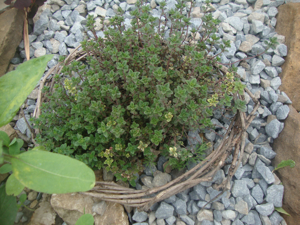 можно и так.