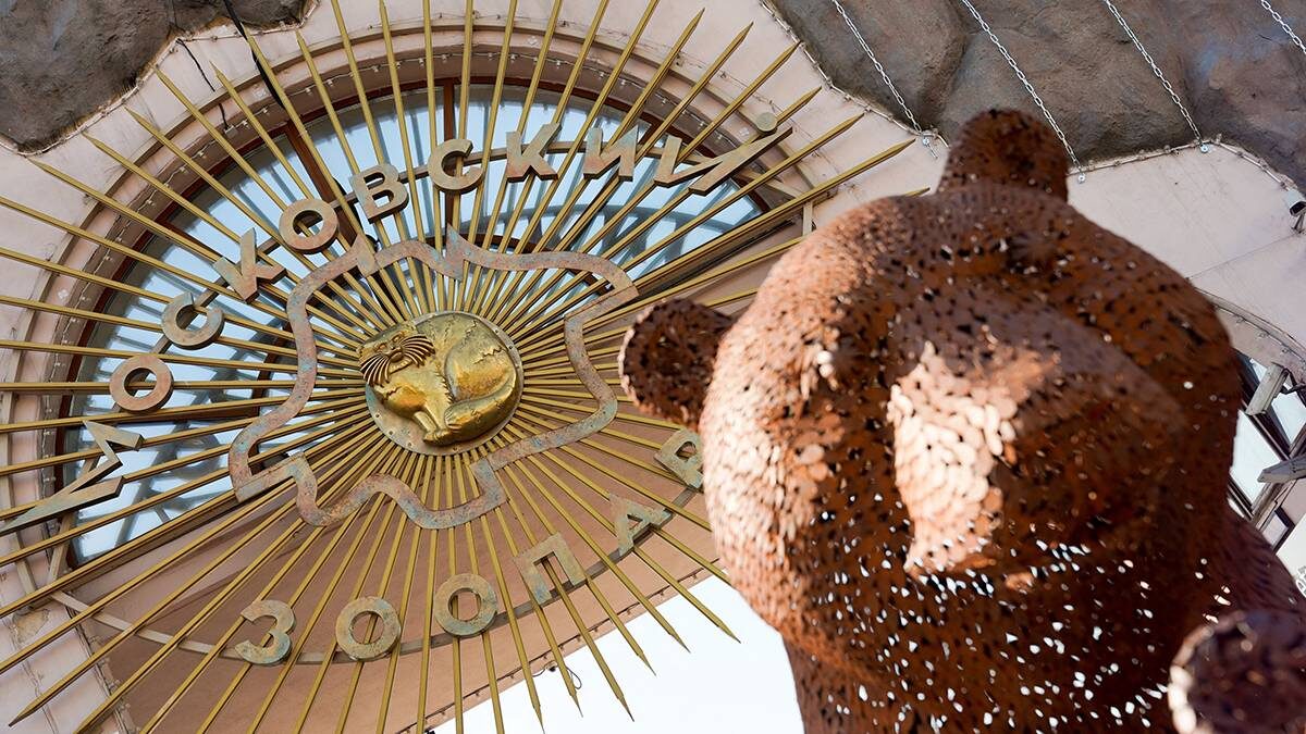    Фото: Пелагия Тихонова / АГН Москва