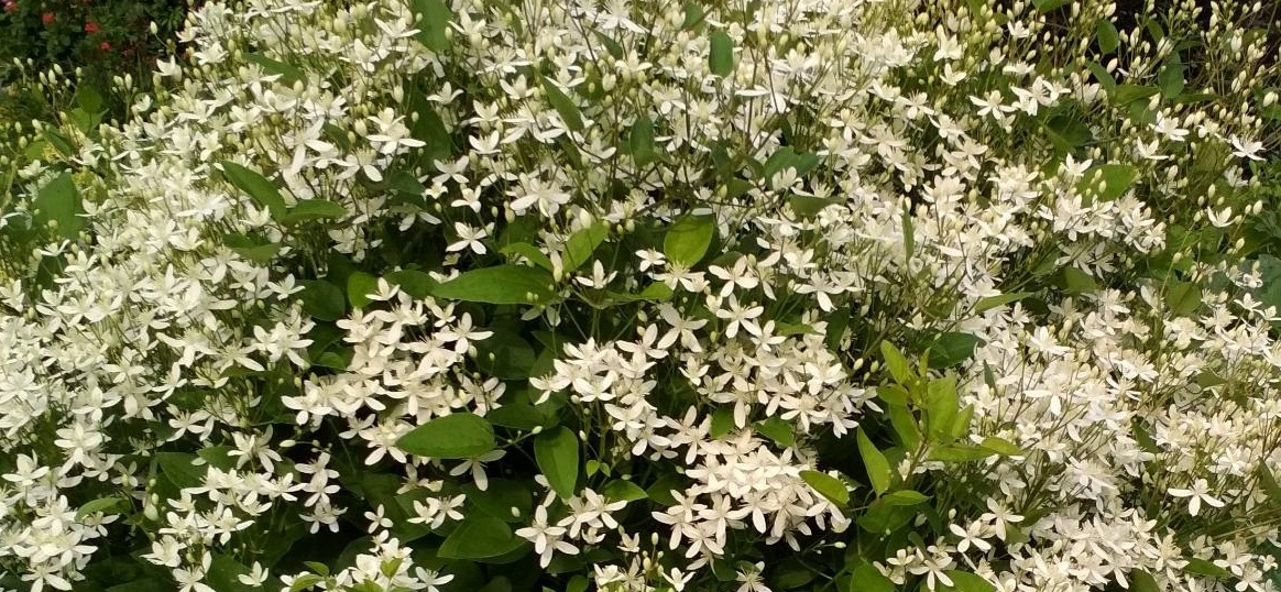 Фото автора канала