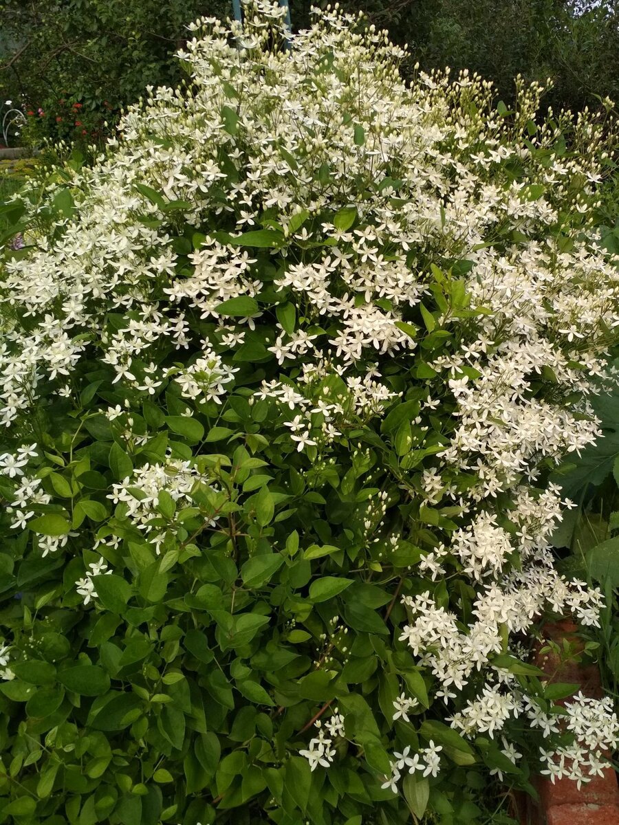 Фото автора канала. 