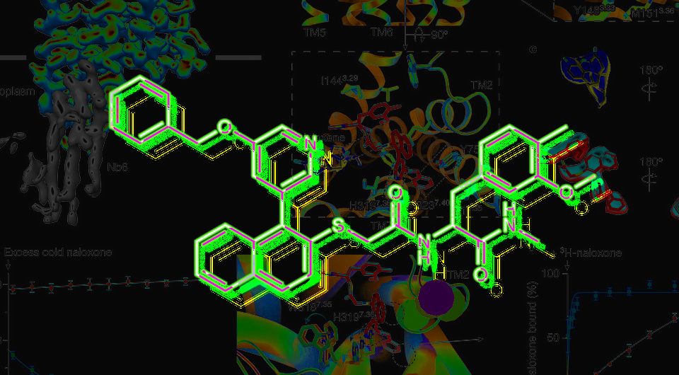   N + 1; Evan S. O’Brien et al. / Nature, 2024