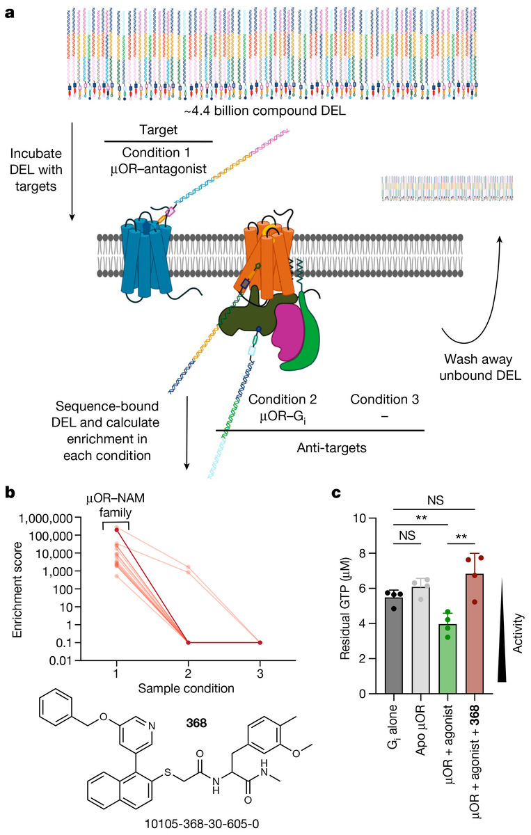   Evan S. O’Brien et al. / Nature, 2024