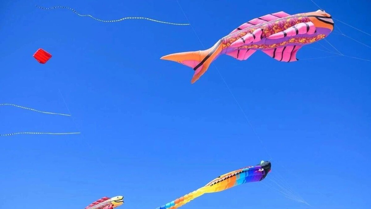 В Ноябрьске прошел семейный праздник «Тандем», самой зрелищной частью которого стал фестиваль воздушных змеев. Об этом сообщил глава города Алексей Романов.