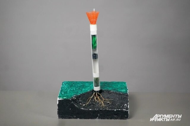    Капсула-парник Фото:  АиФ/ Татьяна Титова